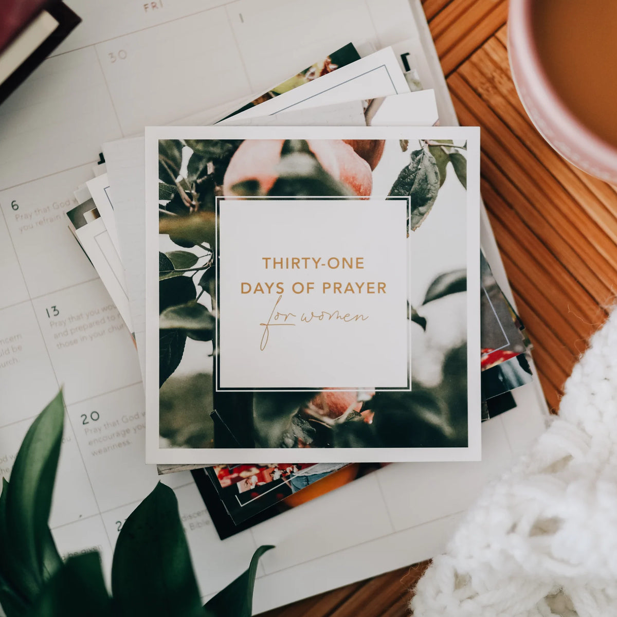 31 Days of Prayer for Women Verse Card Set