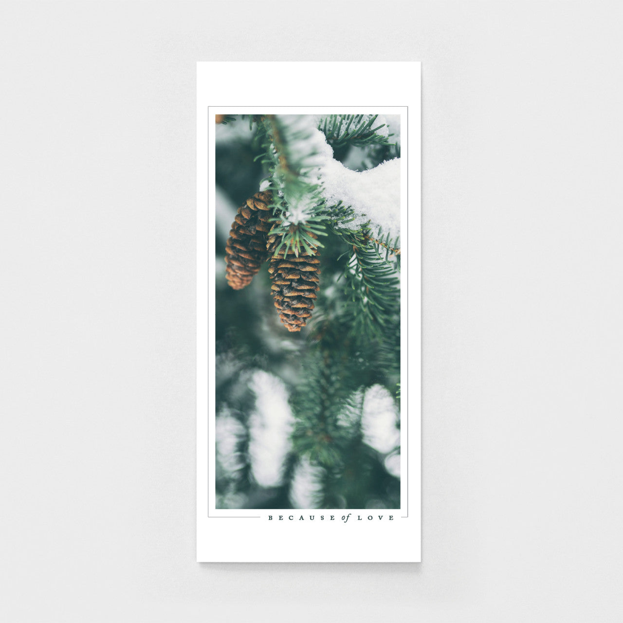 Christmas Gladsome | 10 Card Pack