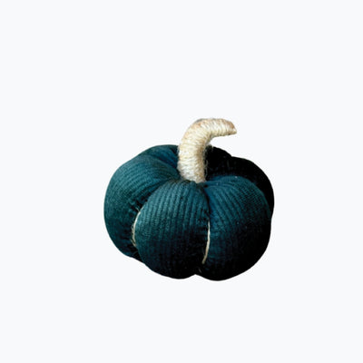Aesthetic home Inspo Handpicked Home decor Modest Clothing Grace and Joy Company 