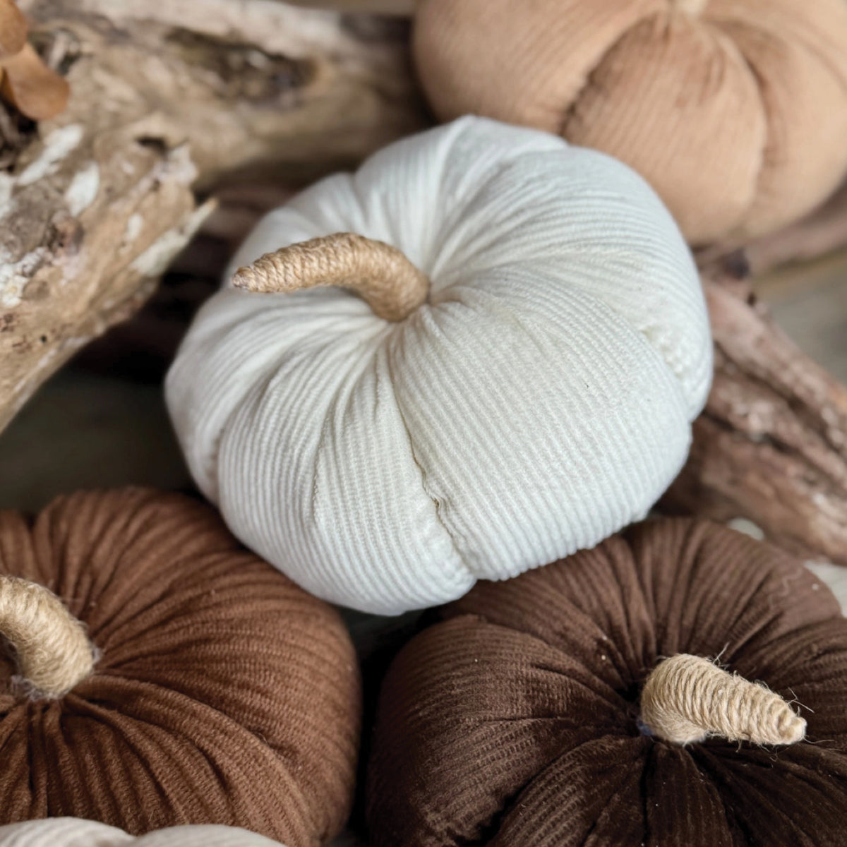 Aesthetic home Inspo Handpicked Home decor Modest Clothing Grace and Joy Company 