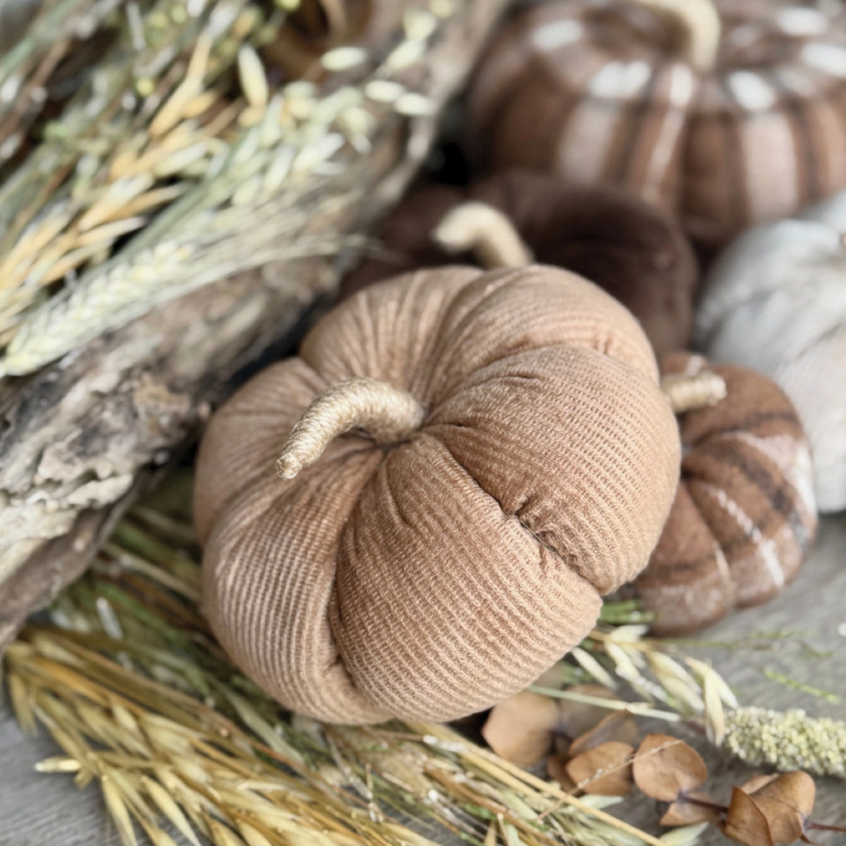 Aesthetic home Inspo Handpicked Home decor Modest Clothing Grace and Joy Company 