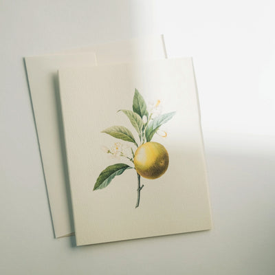 Inspirational books greeting cards Inspo Handpicked Home decor Modest Clothing Grace and Joy Company