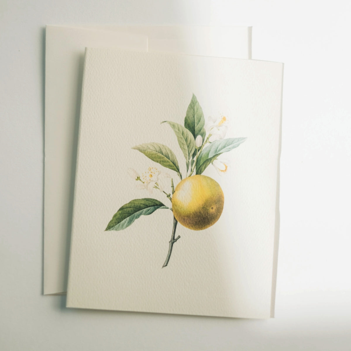 Inspirational books greeting cards Inspo Handpicked Home decor Modest Clothing Grace and Joy Company