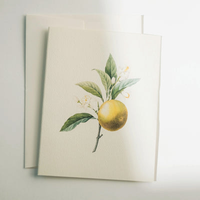 Inspirational books greeting cards Inspo Handpicked Home decor Modest Clothing Grace and Joy Company