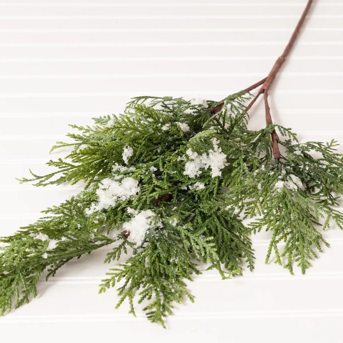 Aesthetic home Inspo Handpicked Home decor Modest Clothing Grace and Joy Company 