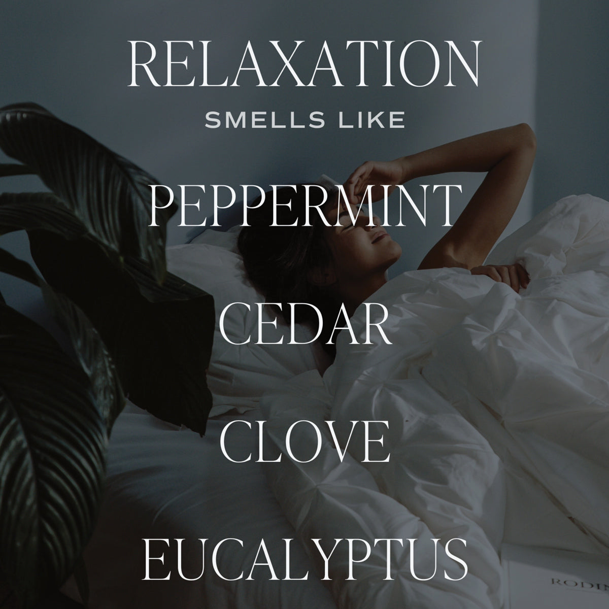 Relaxation Reed Diffuser