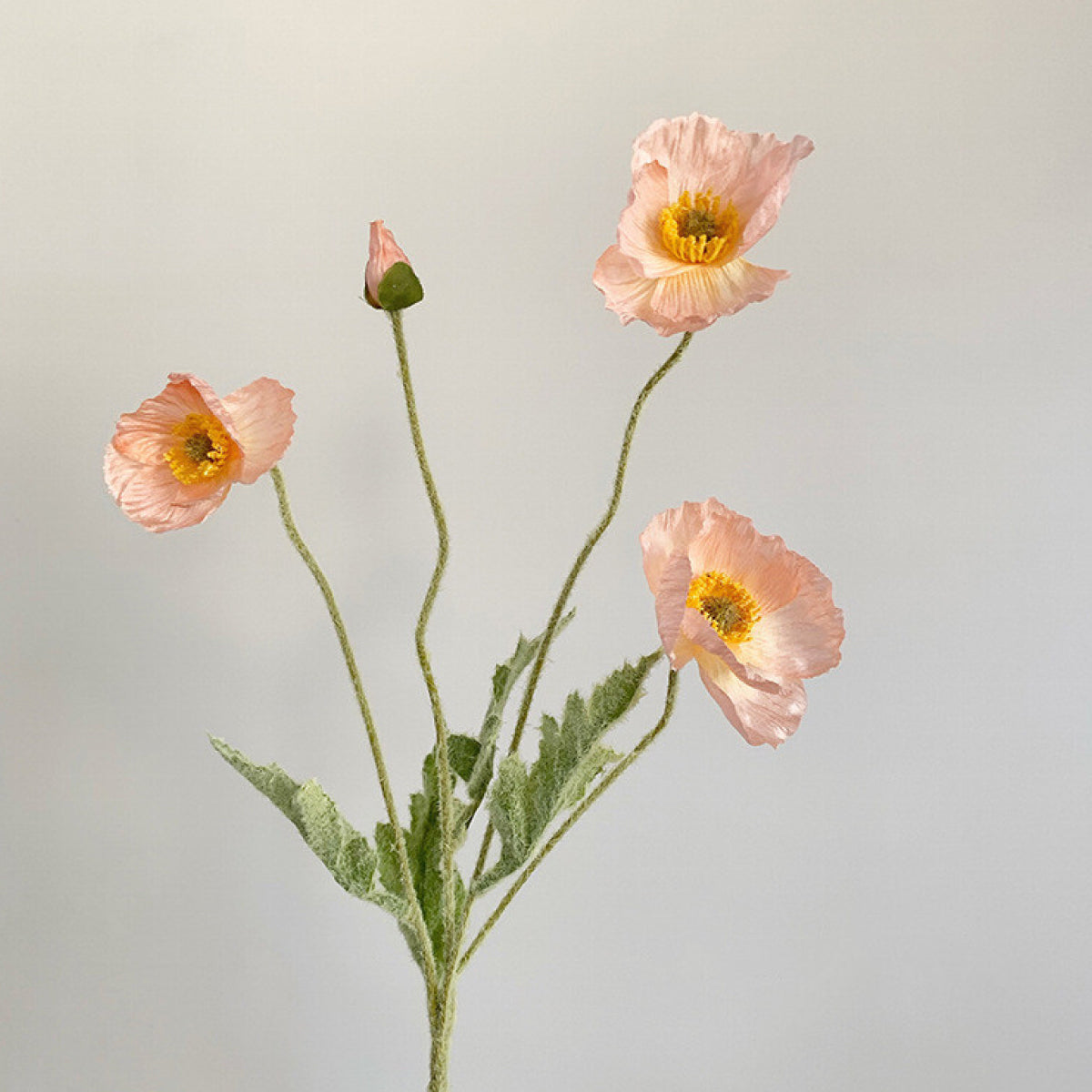 Springfield Poppy Single Flocked Floral Poppy Spay – Grace and Joy Company