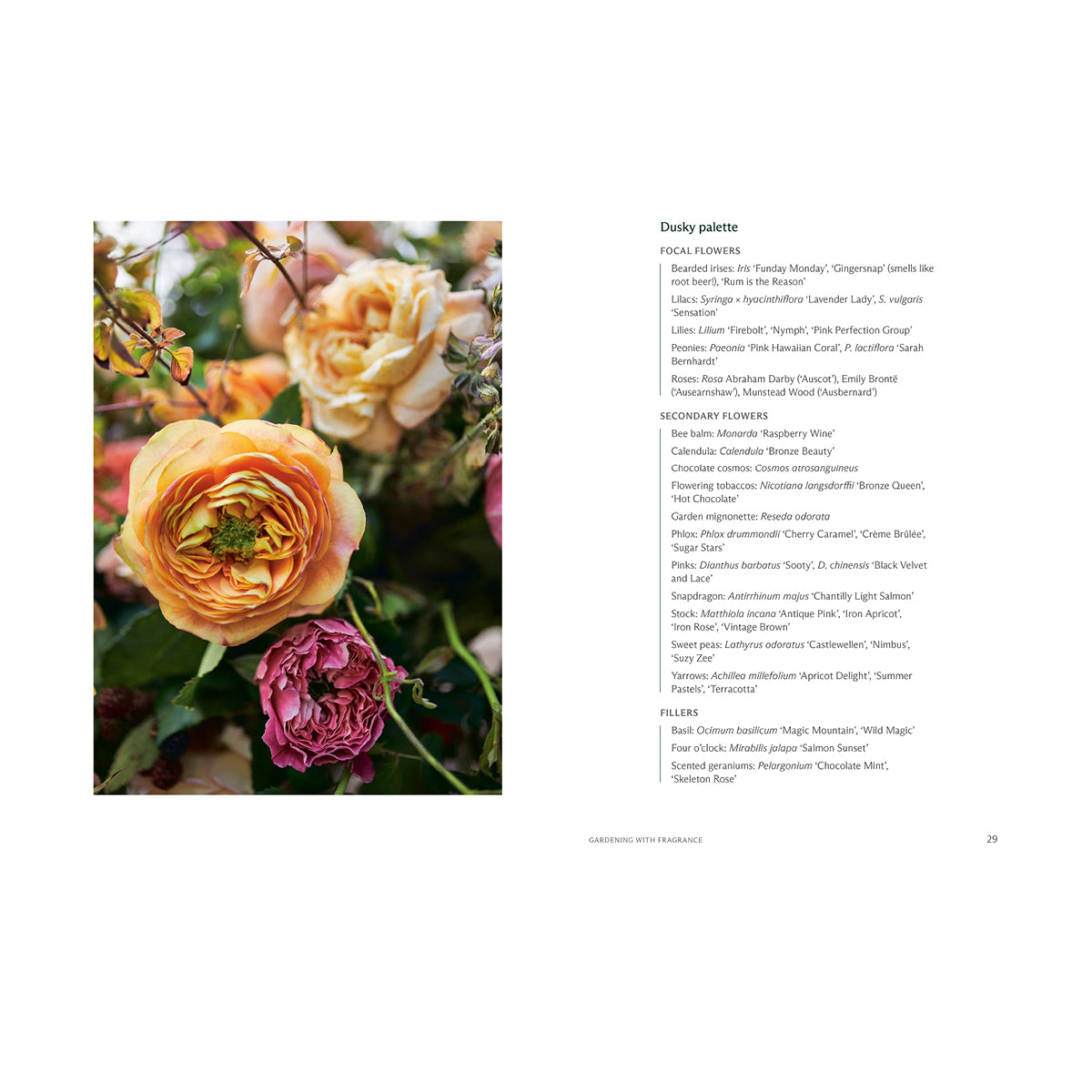 Inspirational books greeting cards Inspo Handpicked Home decor Modest Clothing Grace and Joy Company