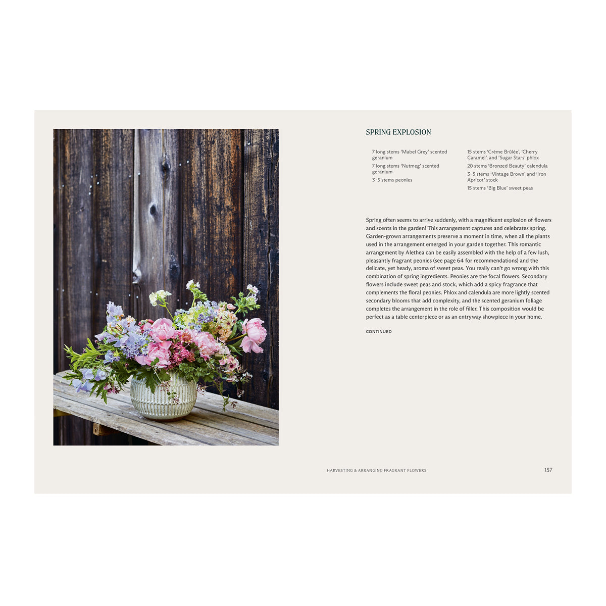 Inspirational books greeting cards Inspo Handpicked Home decor Modest Clothing Grace and Joy Company