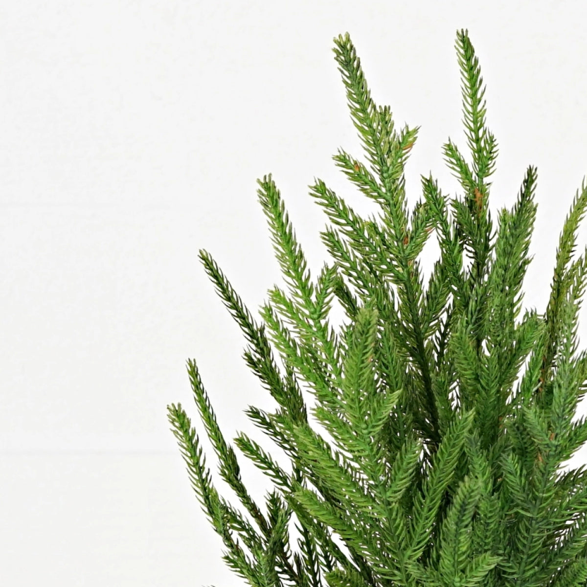 Aesthetic home Inspo Handpicked Home decor Modest Clothing Grace and Joy Company 