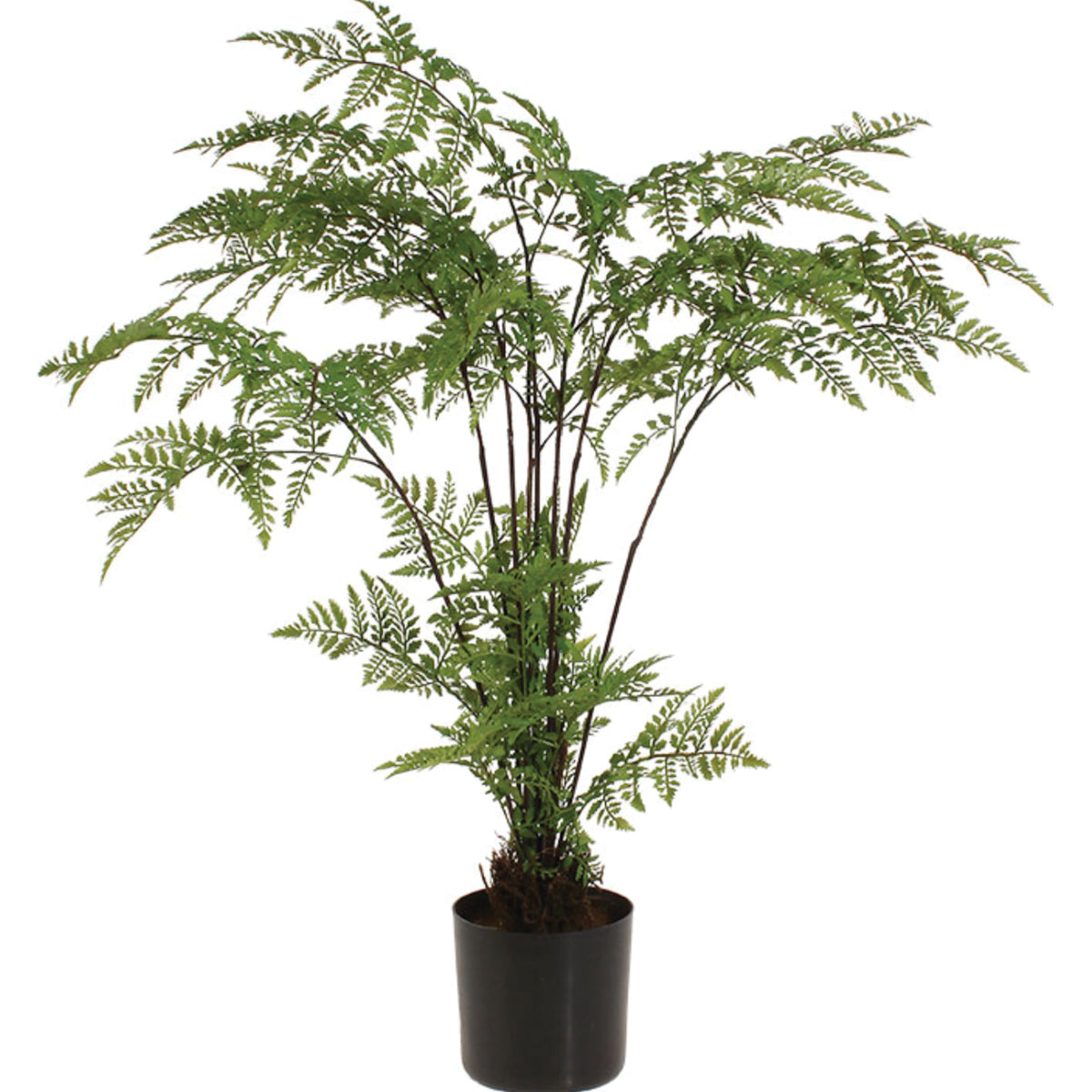 26 Inch Potted Fern