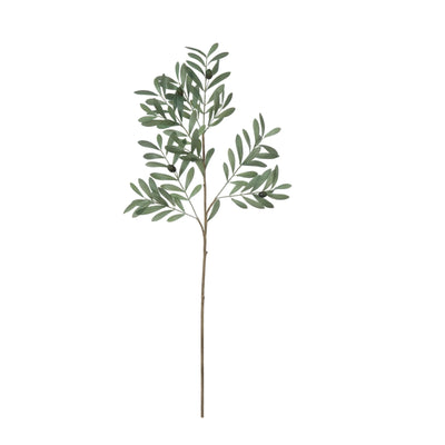 36" Olive Branch