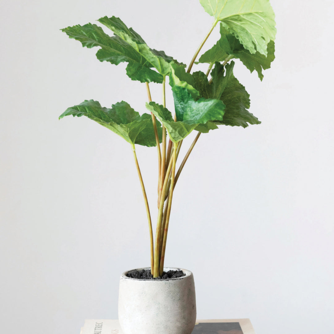 faux plant in concrete pot Faux Plant in Cement Pot