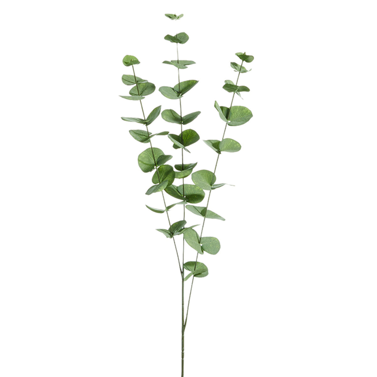 Eucalyptus Sprig | 40 inch – Grace and Joy Company